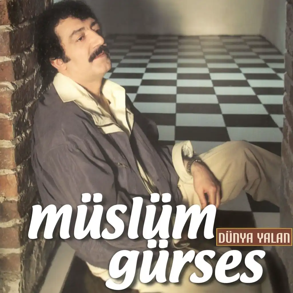 Senin Kadar Hiç Kimseyi Sevmedim