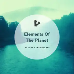 Elements Of The Planet