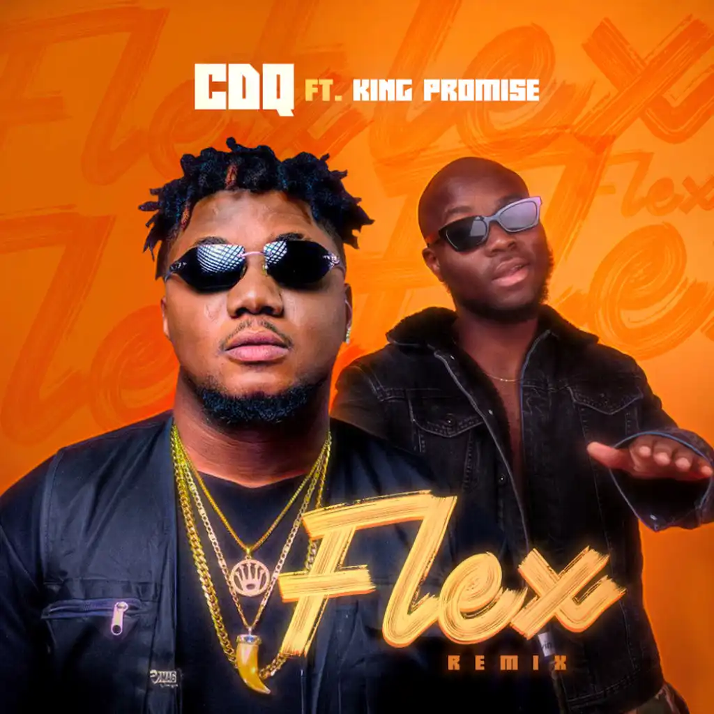 Flex (Remix) [feat. King Promise]