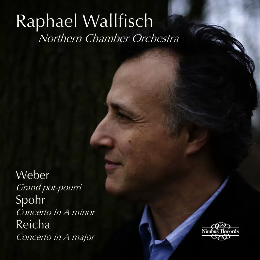 Concerto 'Grand pot-pourri', Op. 20: II. Andante