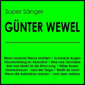 Günter Wewel