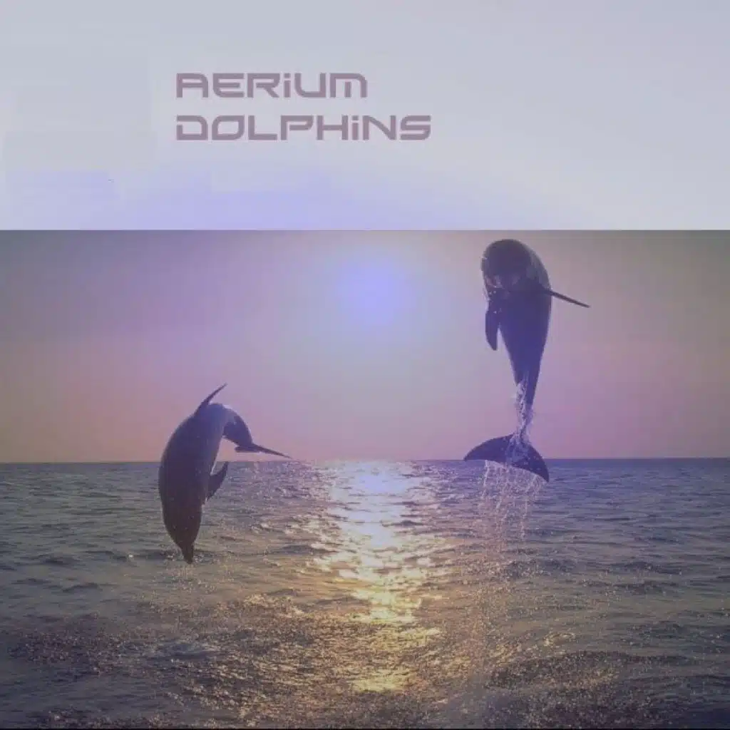 Dolphins