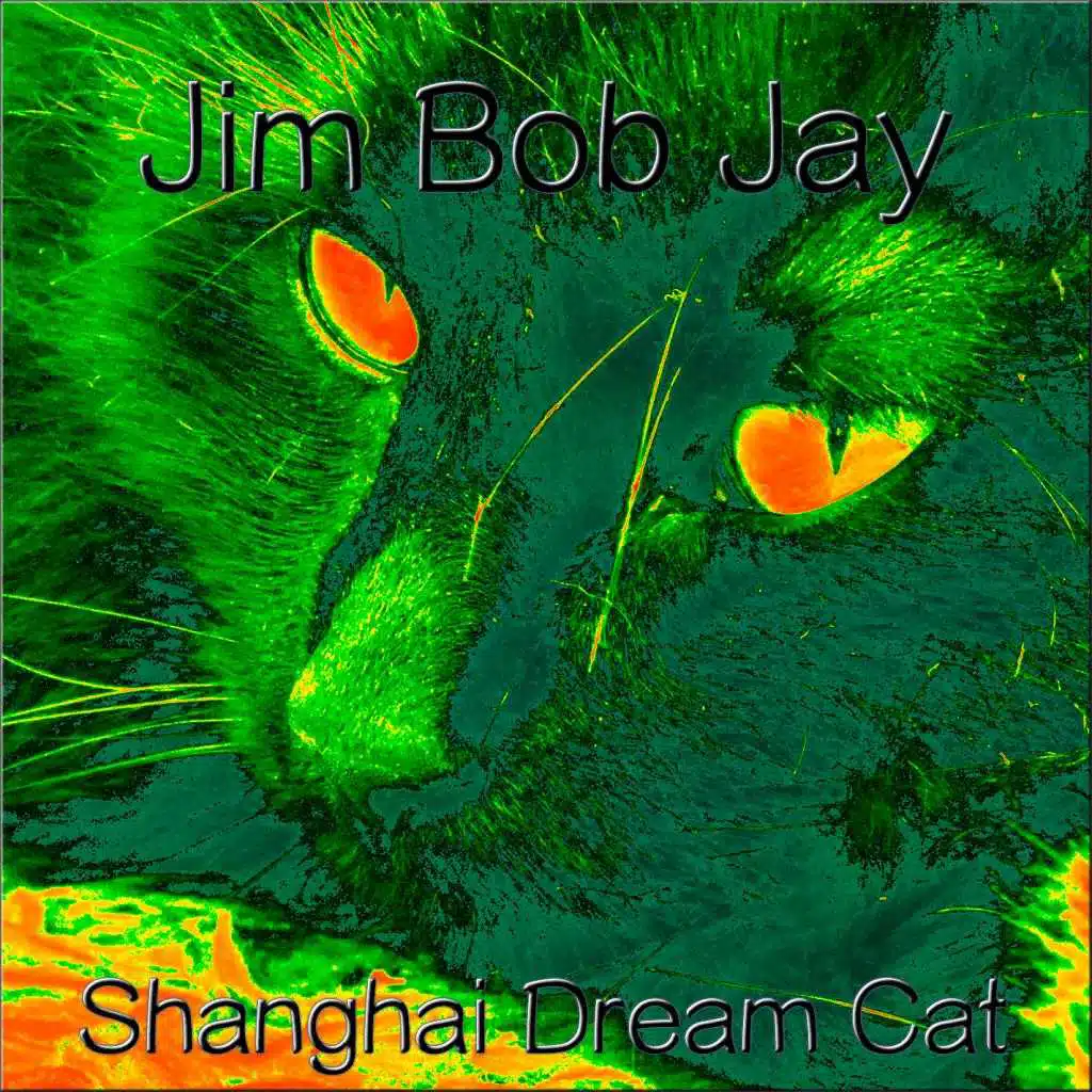 Shanghai Dream Cat