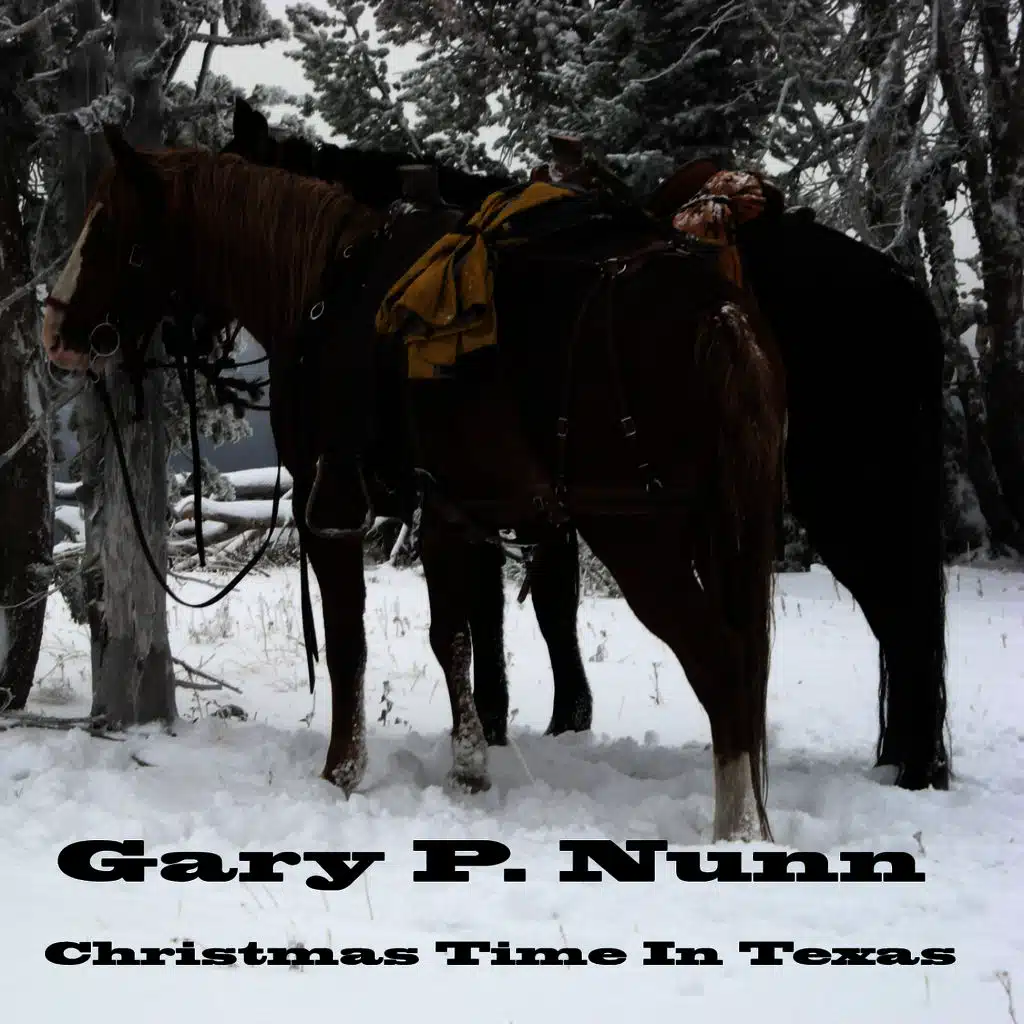 Christmas Time In Texas