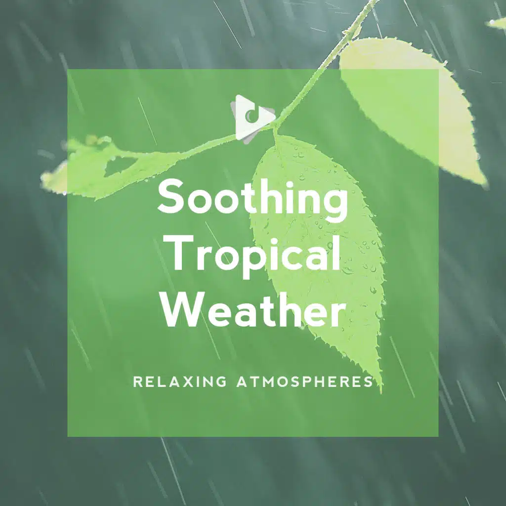 Soothing Tropical Weather