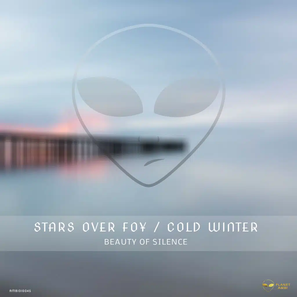 Beauty of Silence (Cold Winter Minimal Mix)