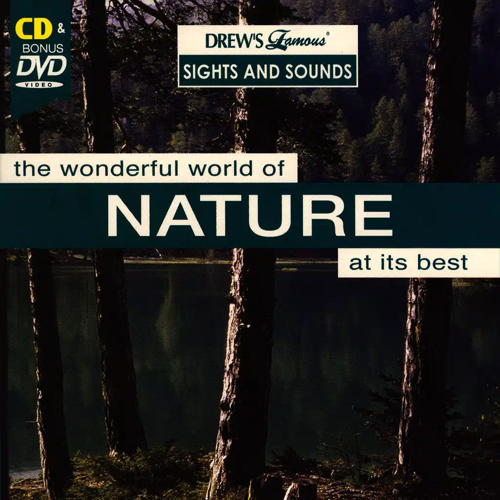 Nocturne #9 In Bb Major