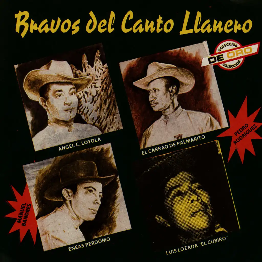 Bravos Del Canto Llanero