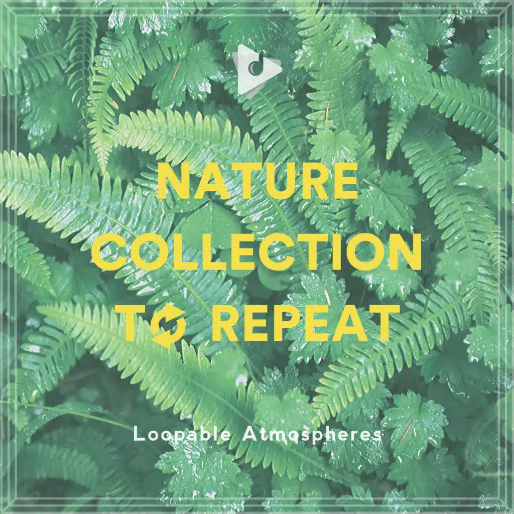 Nature Collection To Repeat