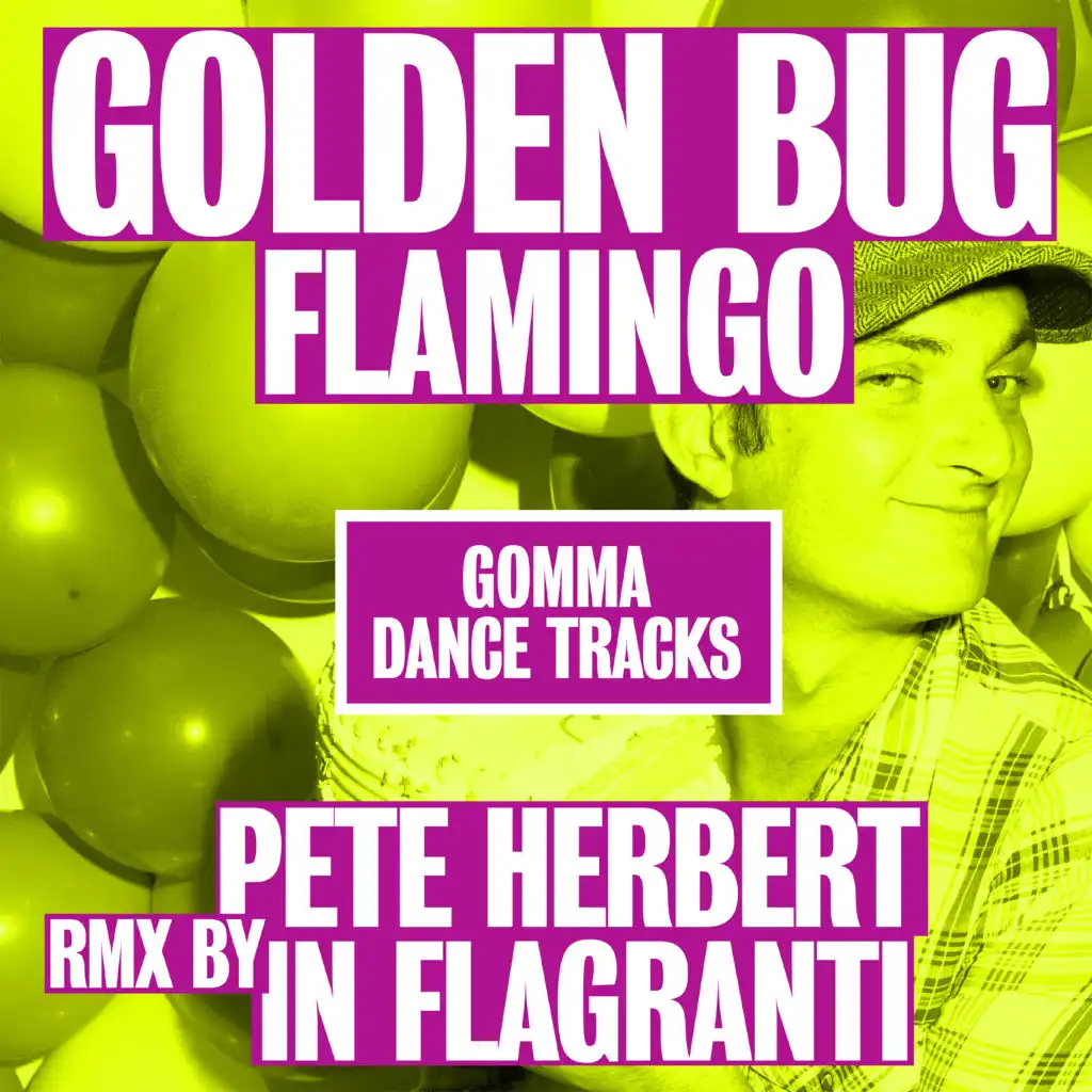 Flamingo (Pete Herbert Remix)