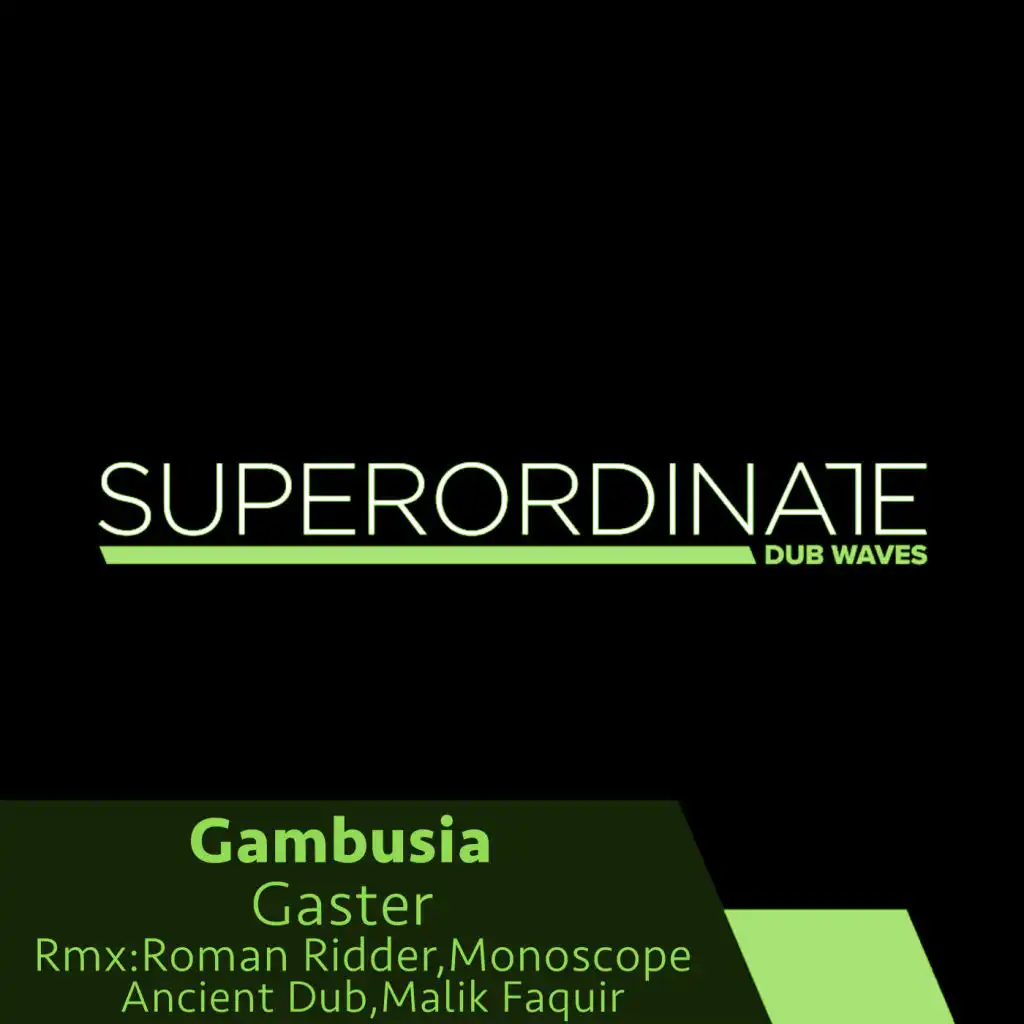 Gaster (Monoscope Rmx)