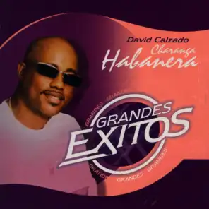 Grandes Exitos (Greatest Hits)