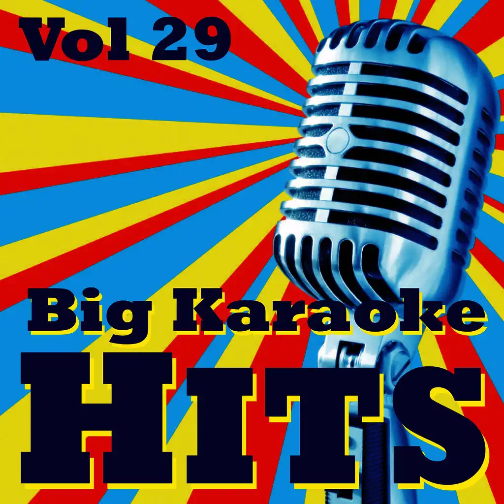 Big Karaoke Hits Vol.29