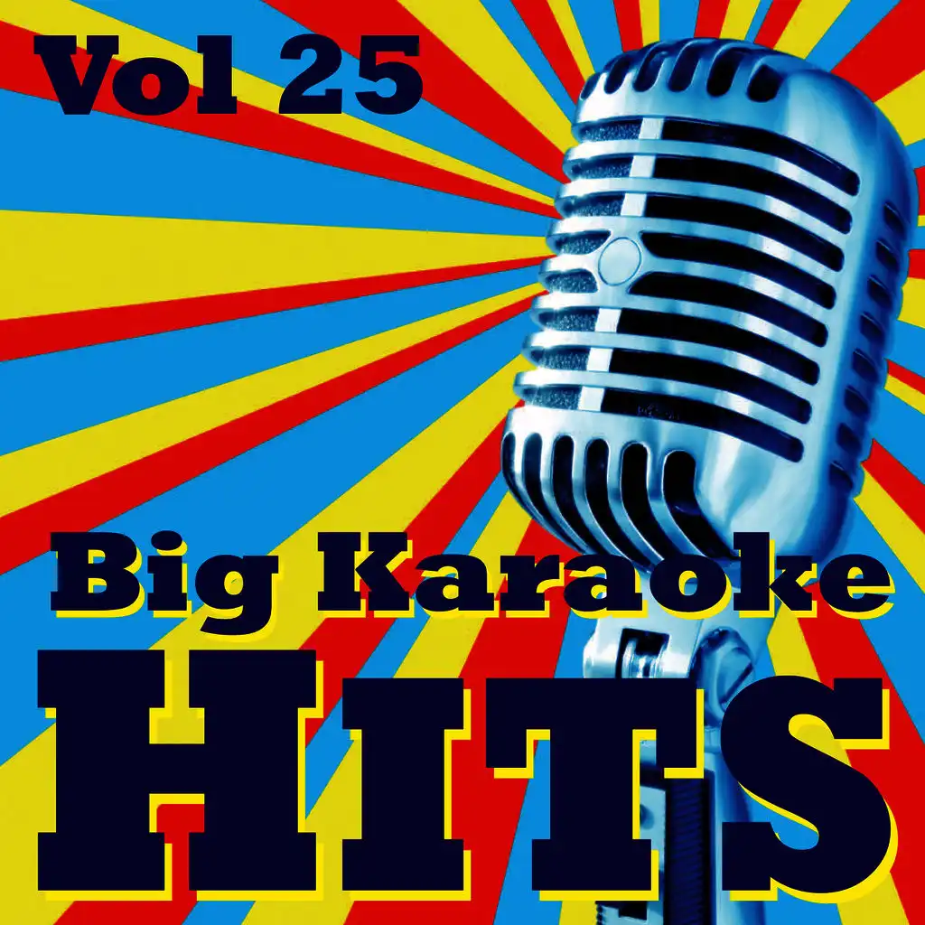 Big Karaoke Hits Vol.25