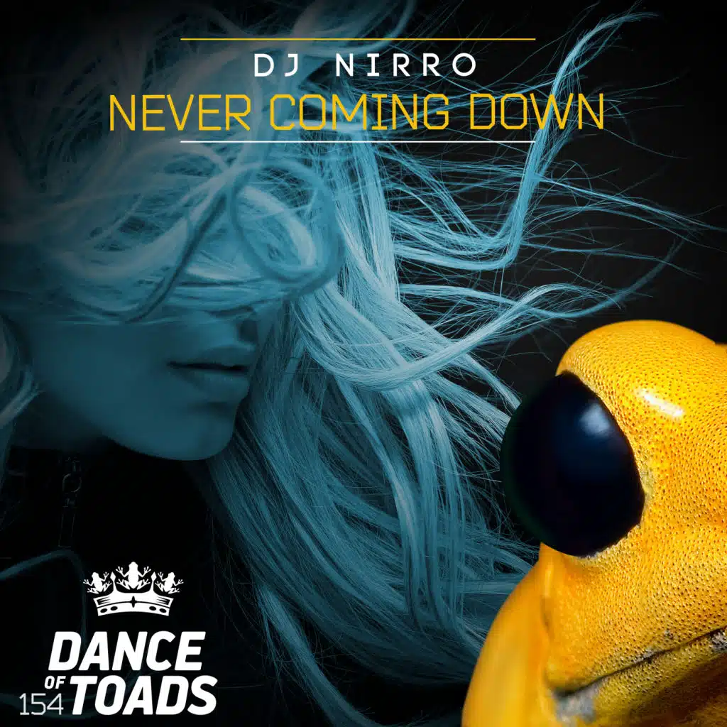 Never Coming Down (Radio Edit)