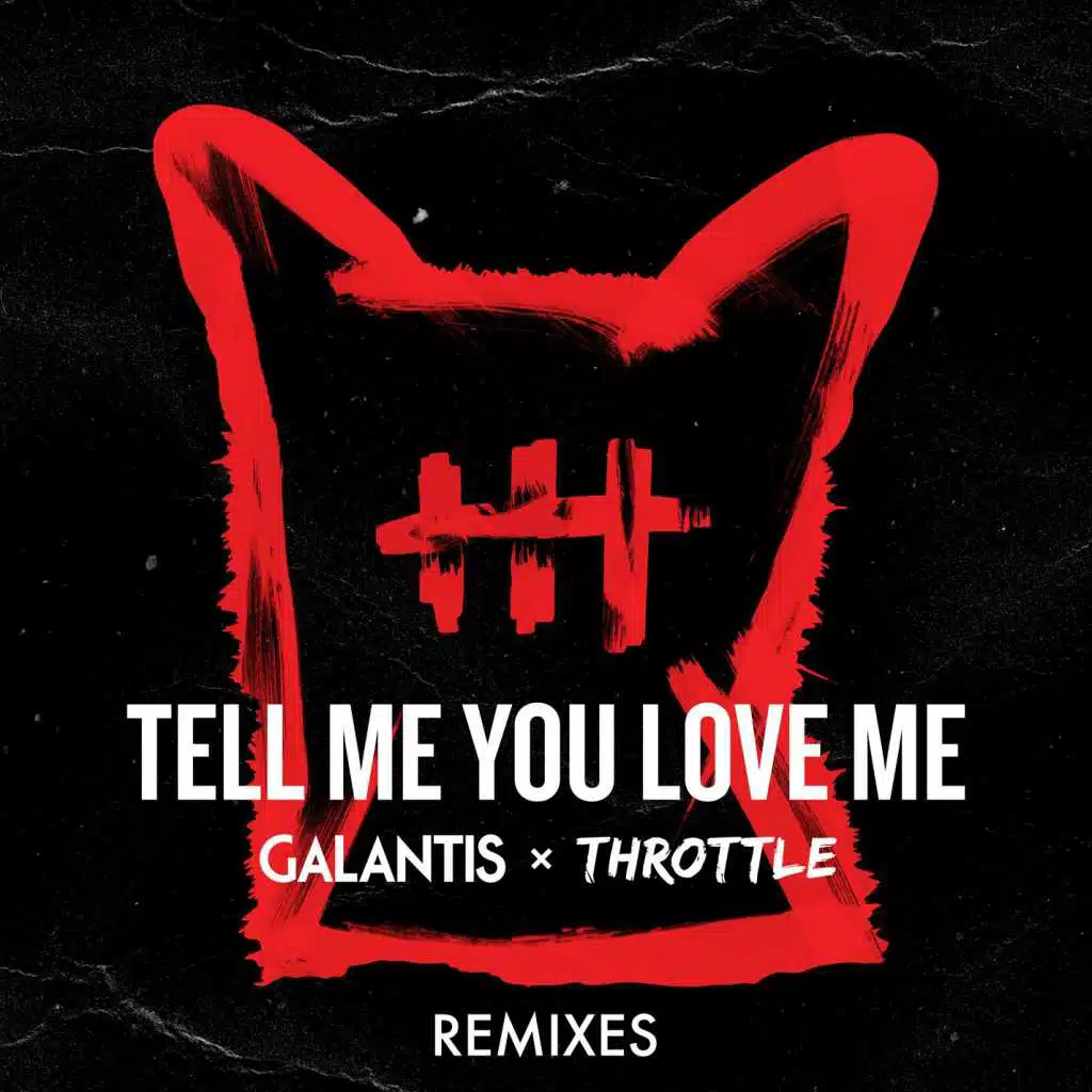 Tell Me You Love Me (Michael Feiner Remix)