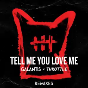Tell Me You Love Me (DropGun Remix)