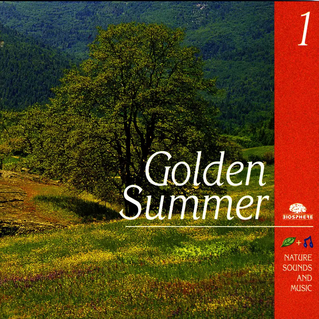 Golden Summer (Eté De Grâce)