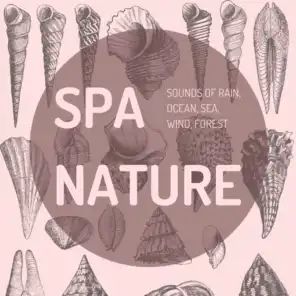 Spa Nature: Sounds of Rain, Ocean, Sea, Wind, Forest