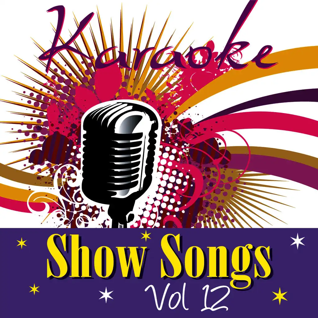 Karaoke - Show Songs Vol.12