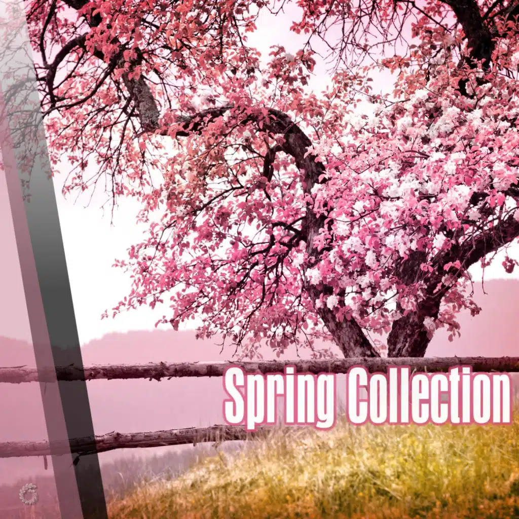 Spring Collection