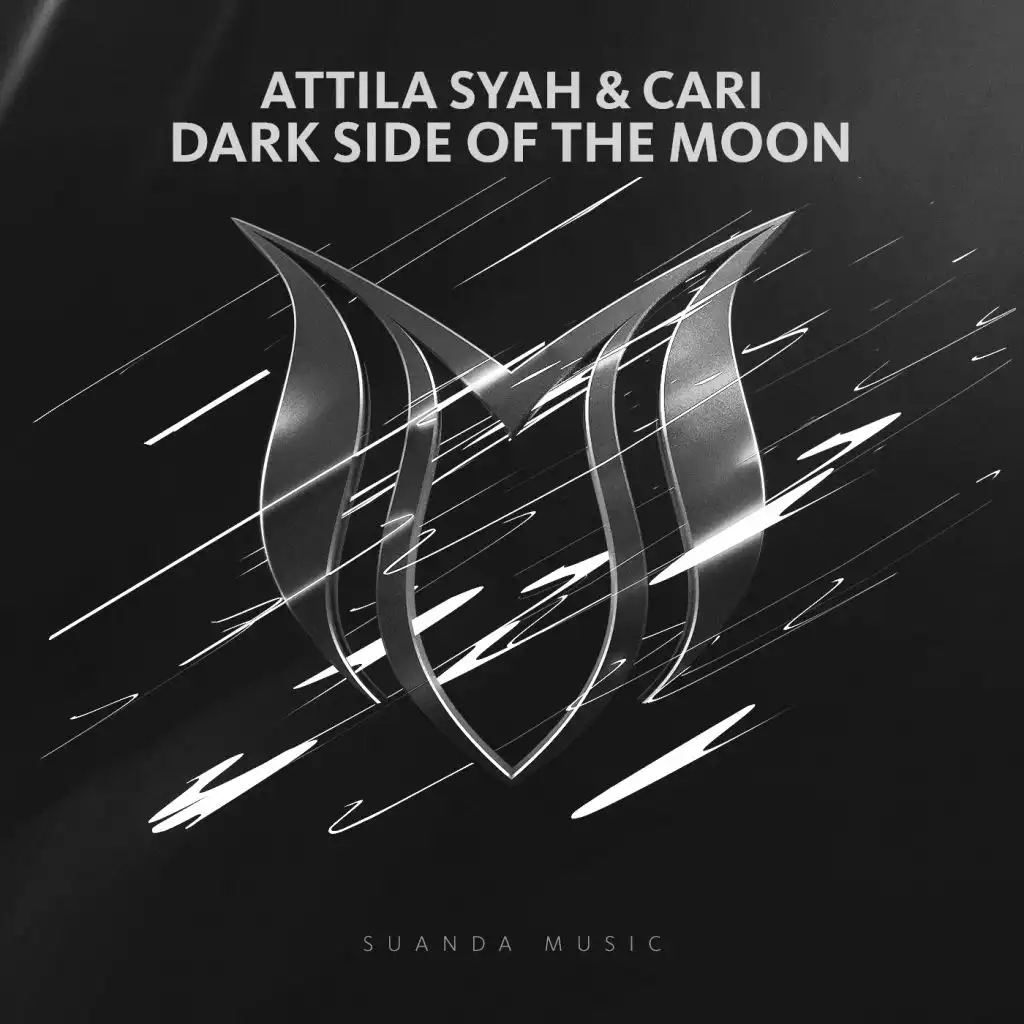 Dark Side Of The Moon (Radio Edit)