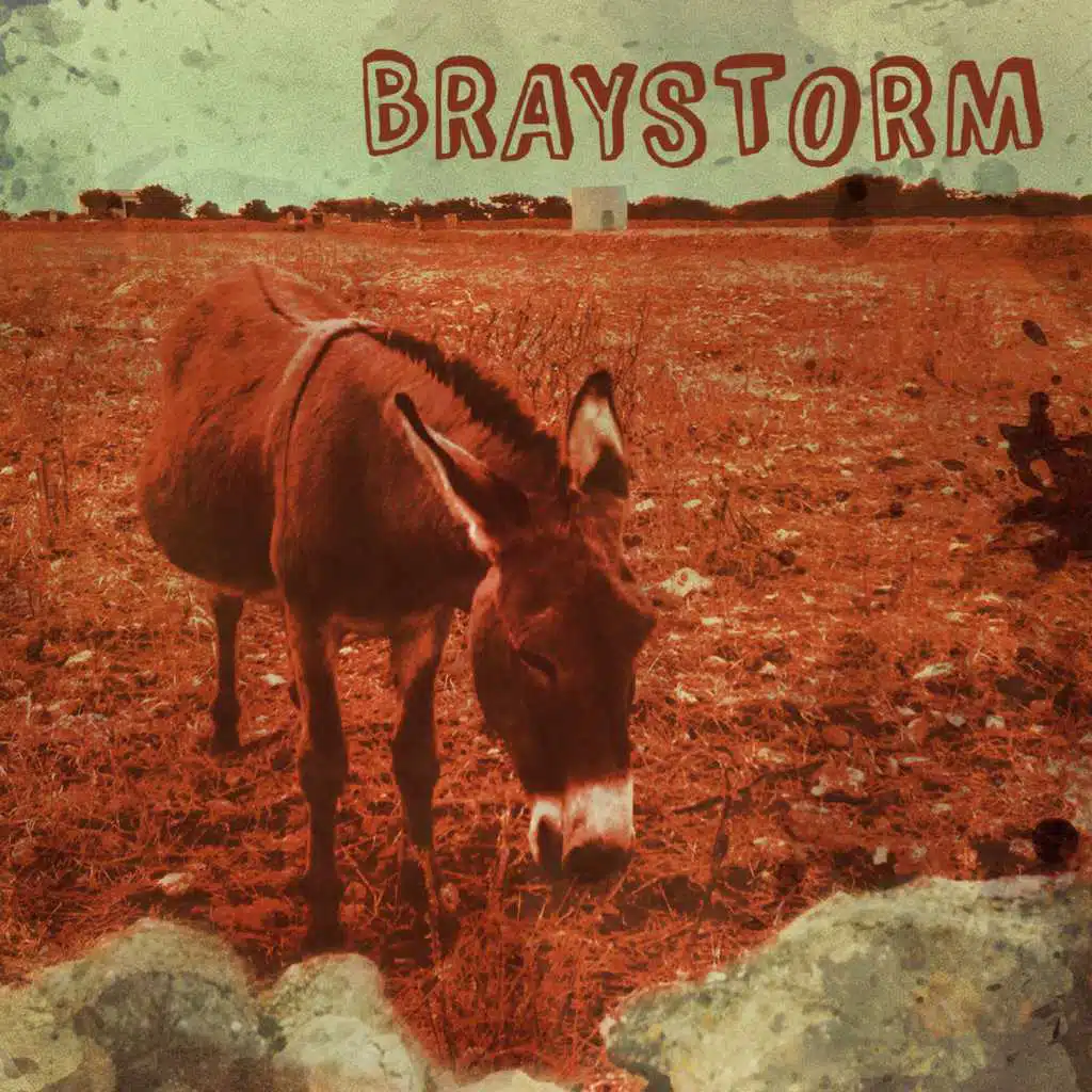 Braystorm