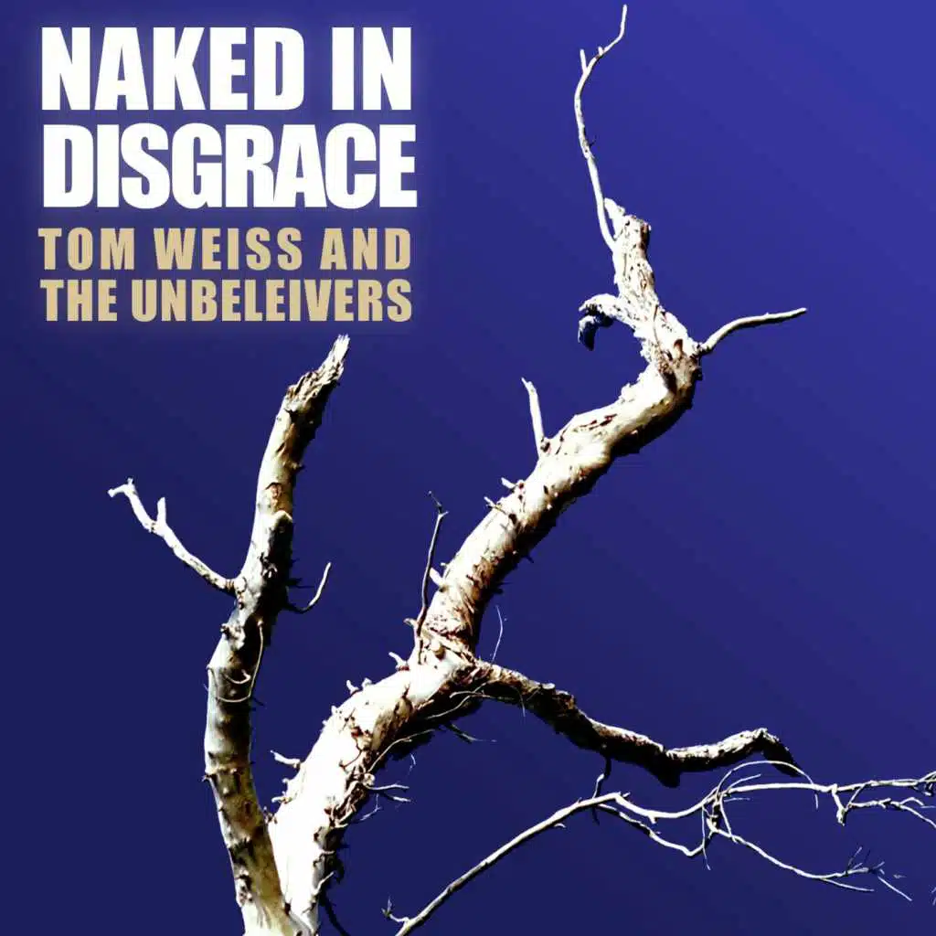 Naked in Disgrace