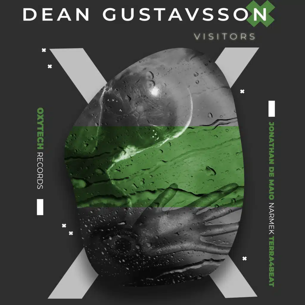 Visitors (feat. Narmek & Terra4Beat)