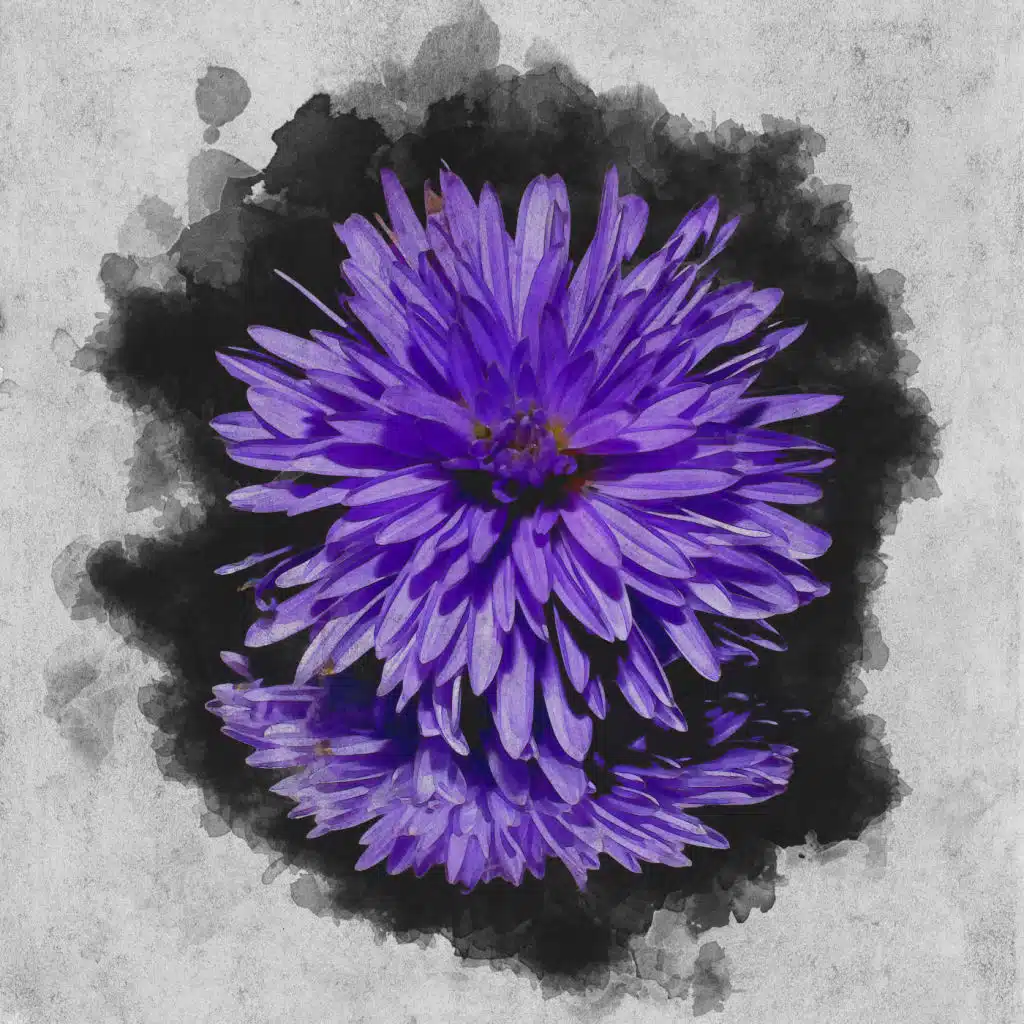 MultiSpace (feat. RezQ Sound)