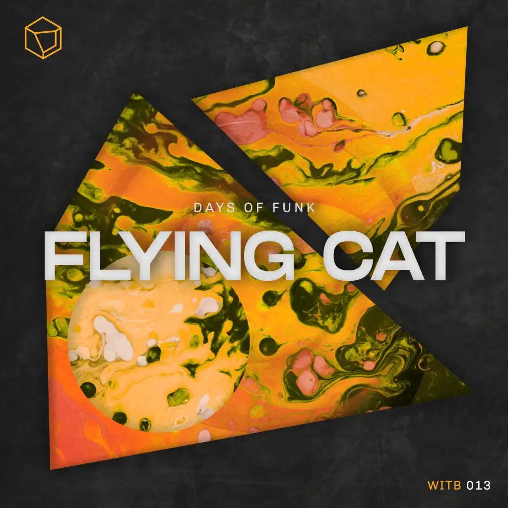 Flying Cat (Volta Cab Tropical Mix)
