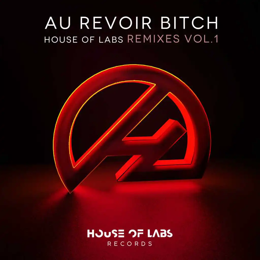 Au Revoir Bitch (Gsp Remix)