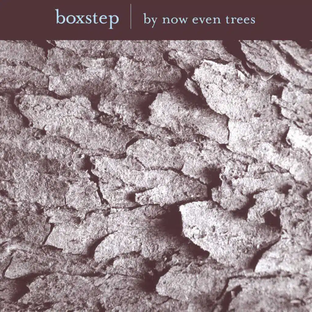By Now Even Trees