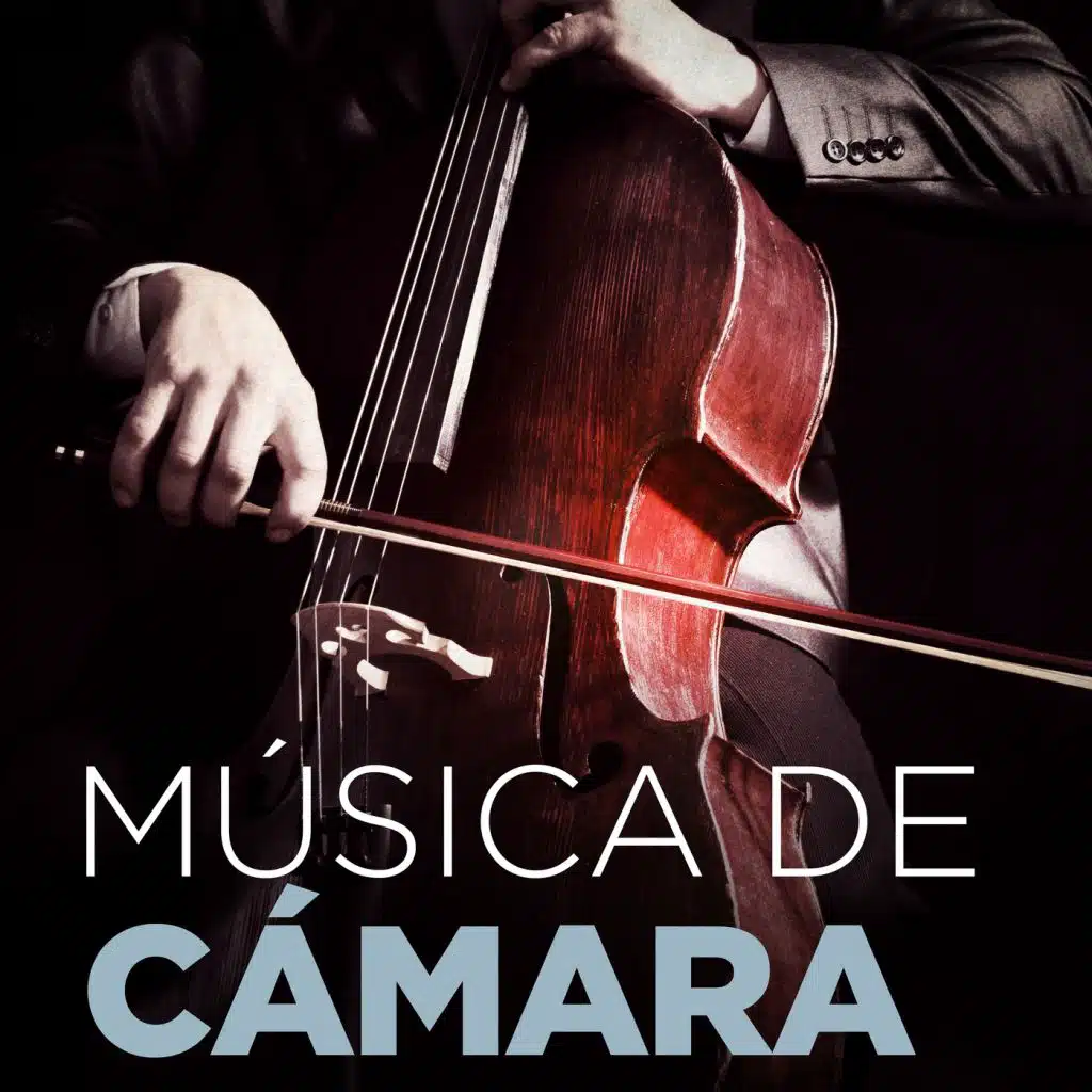 Música de Câmara