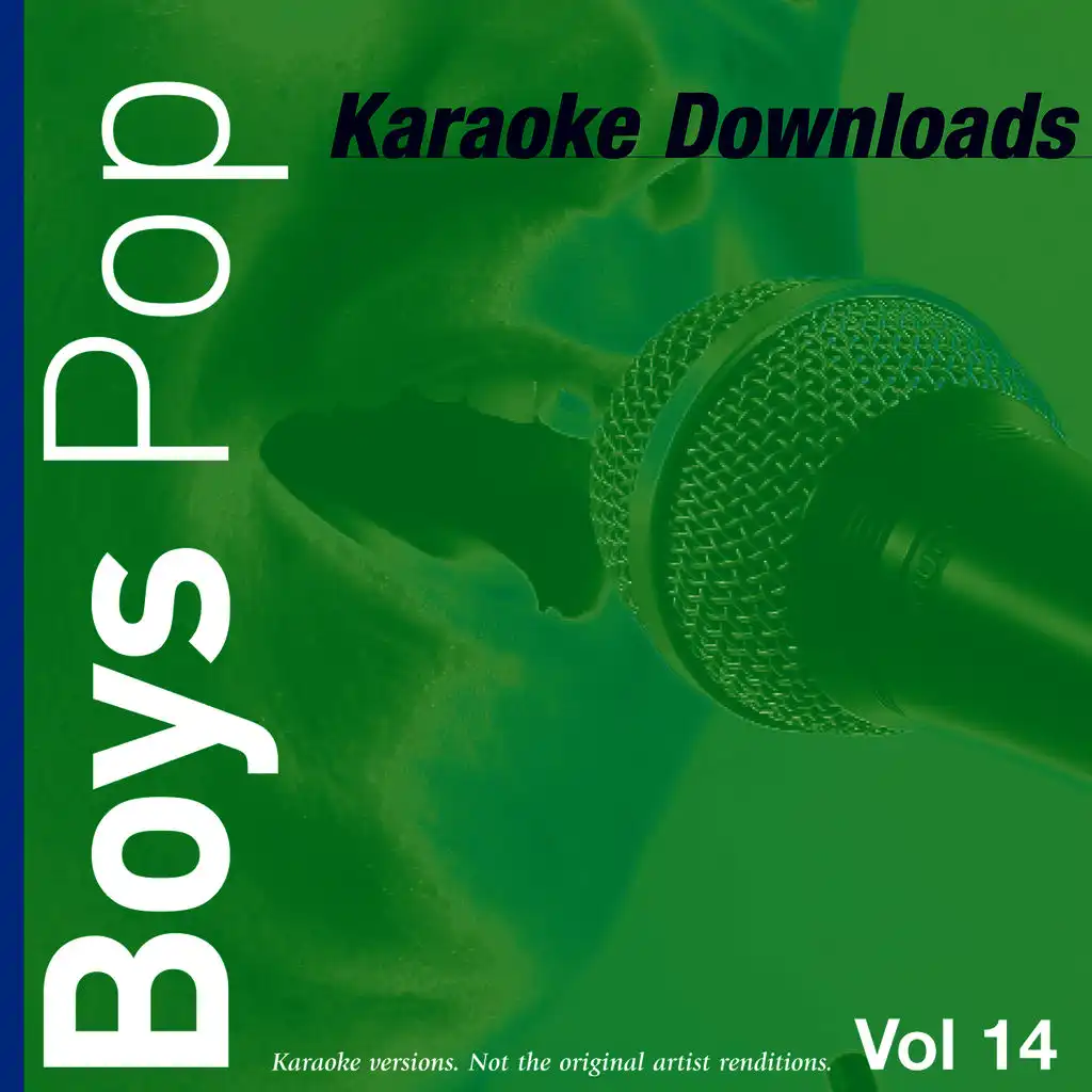 Karaoke Downloads - Boys Pop Vol.14