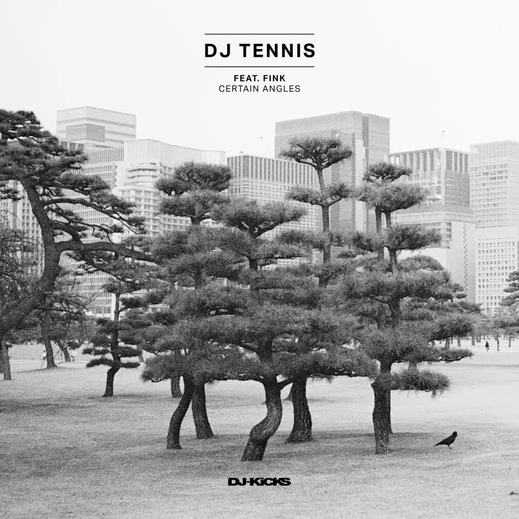 Certain Angles (feat. Fink)