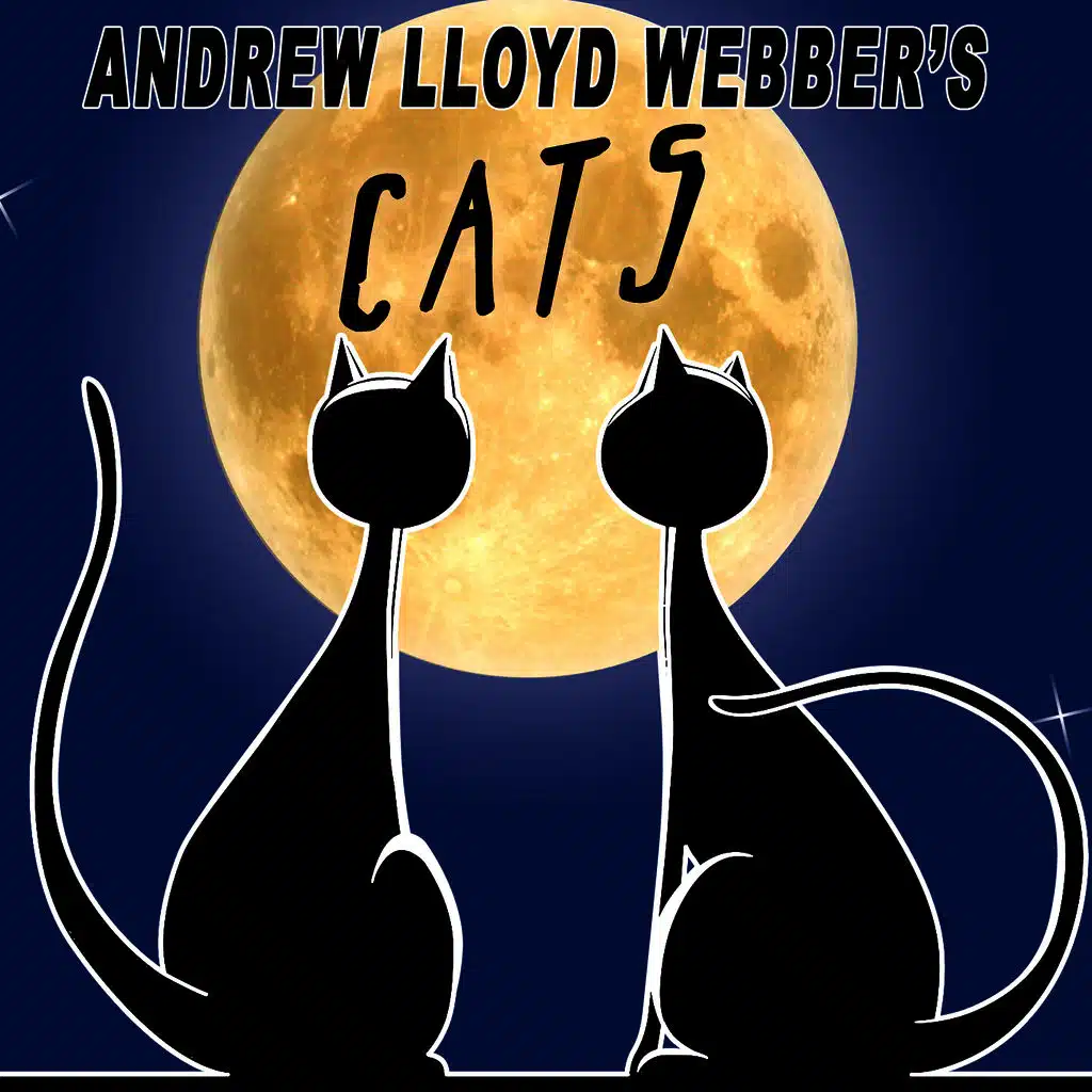 Grizabella The Glamour Cat