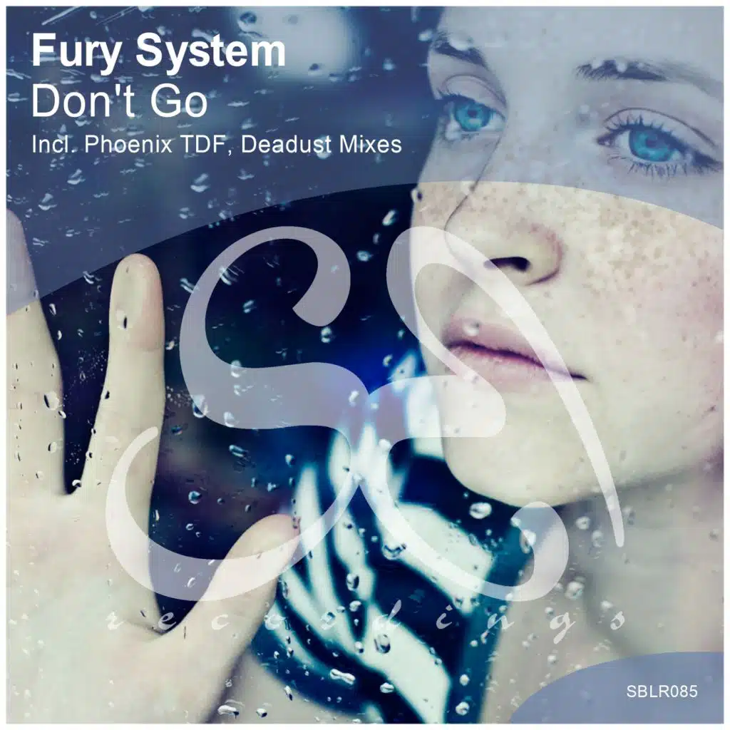 Fury System