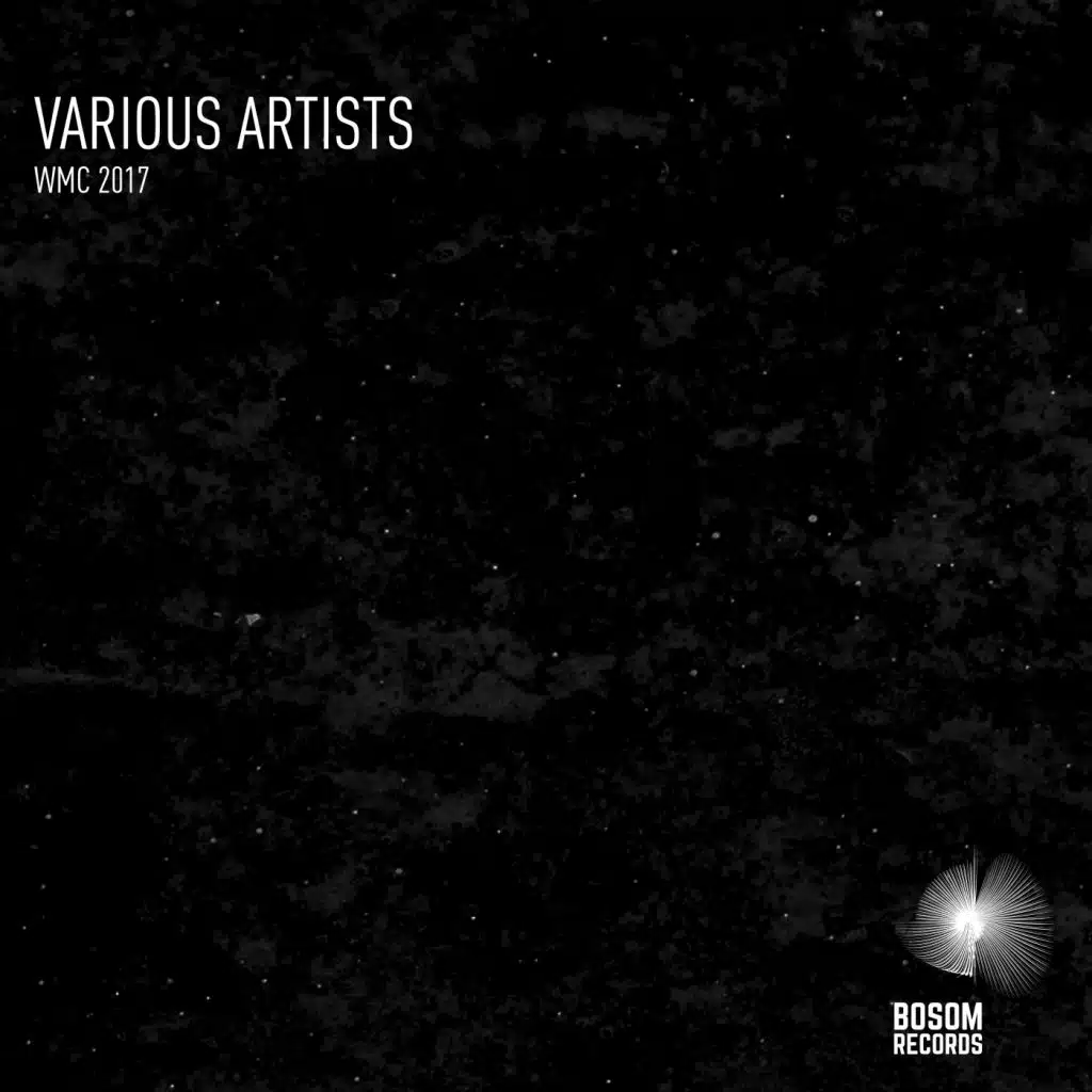 Space Effort (Lvm Remix)