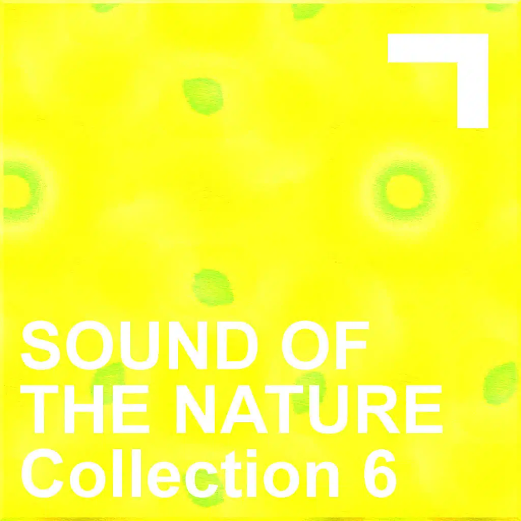 Sound Of The Nature – Collection 6