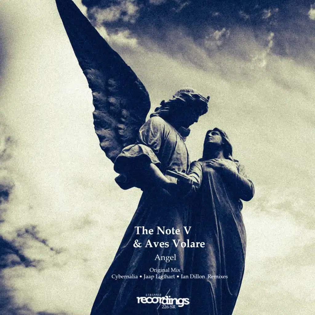 Aves Volare and The Note V