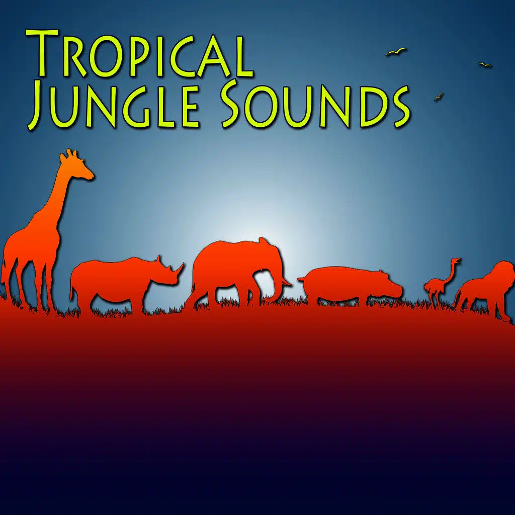 Tropical Jungle Sounds