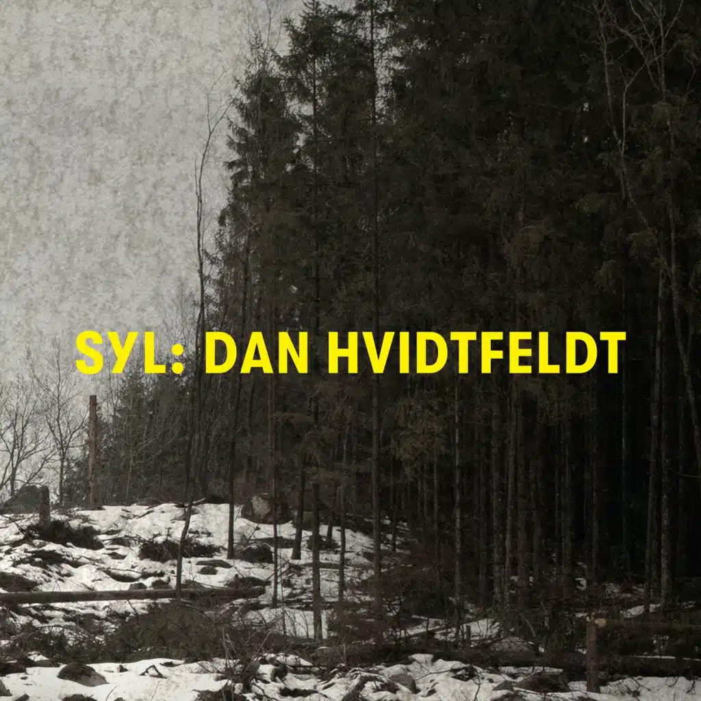 Dan Hvidtfeldt 