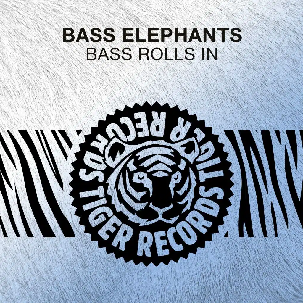Bass Rolls In (Radio Edit)