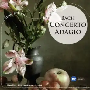Piano Concerto No. 4 in A Major, BWV 1055: I. Allegro (feat. John Constable)