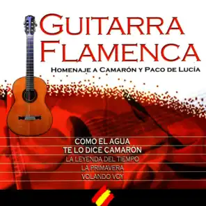 Como El Agua (Popular By Camarón De La Isla) (Flamenco Guitar Version)