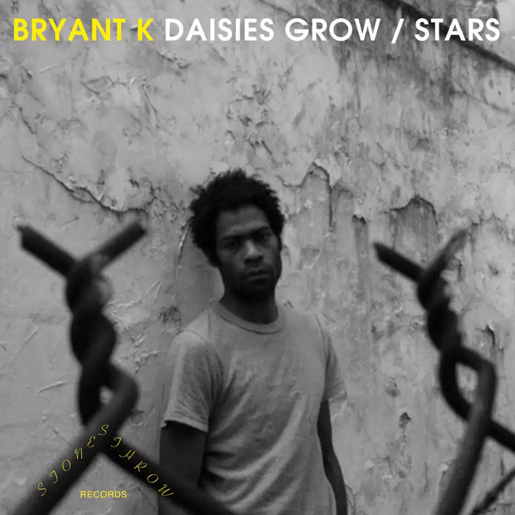 Daisies Grow / Stars