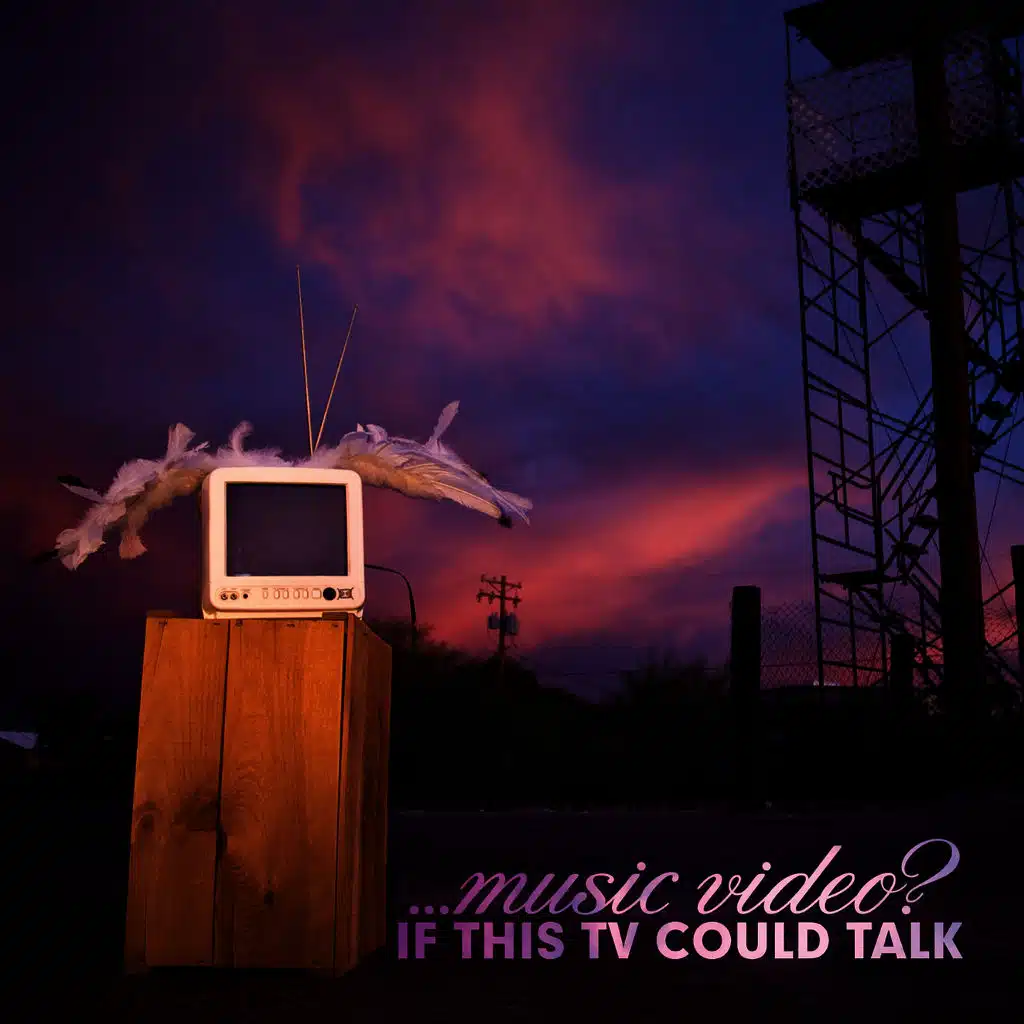 If This TV Could Talk