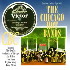 The Chicago Hot Bands 1924-1928