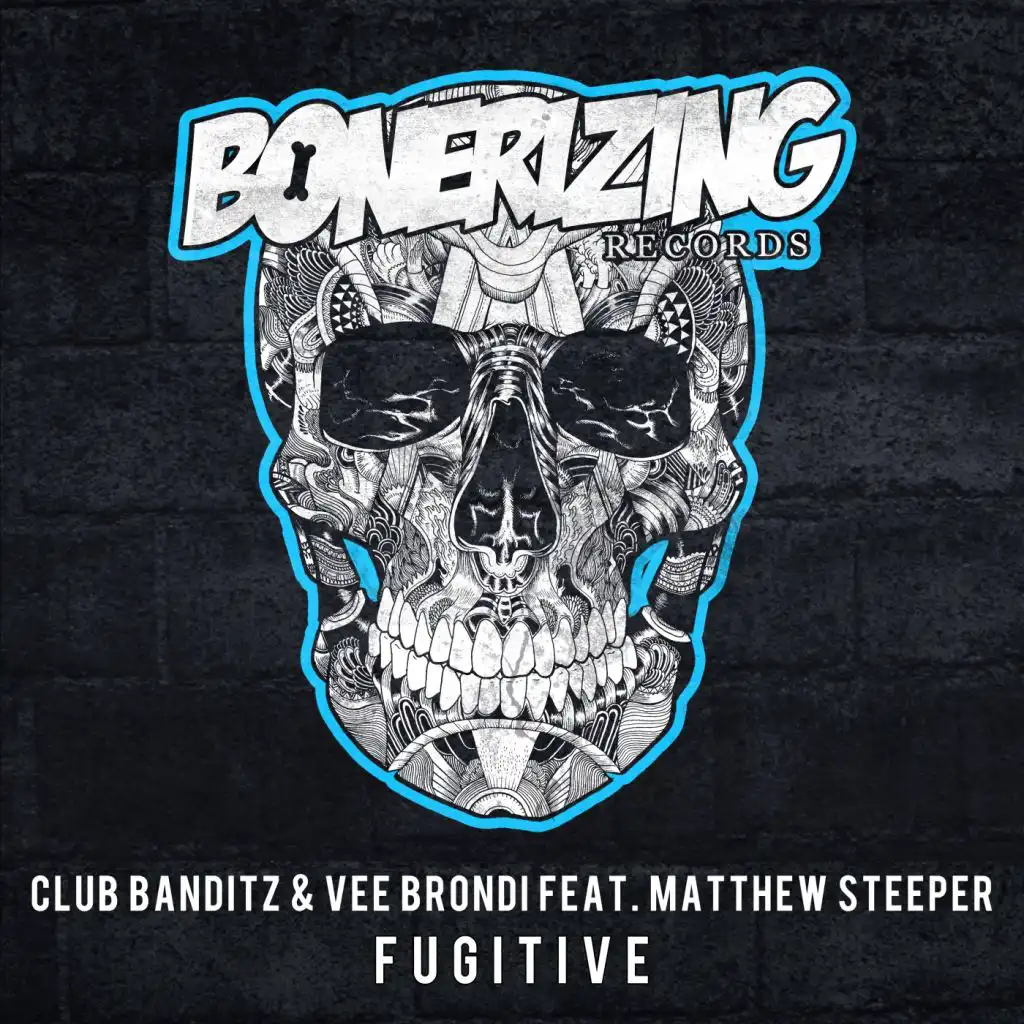 Fugitive (Radio Edit) [feat. Matthew Steeper]
